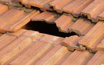 roof repair Habin, West Sussex